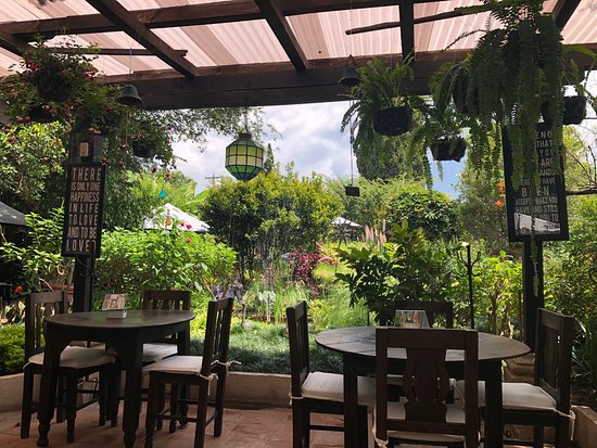Vivero y Café La Escalonia in antigua guatemala