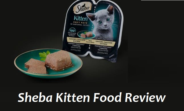 Sheba Kitten Food