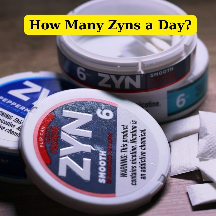 How Many Zyns a Day