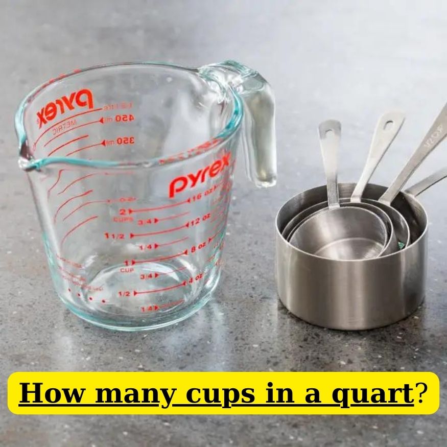 How Many Cups in a Quart? Conversion Guide and Practical Uses 2024