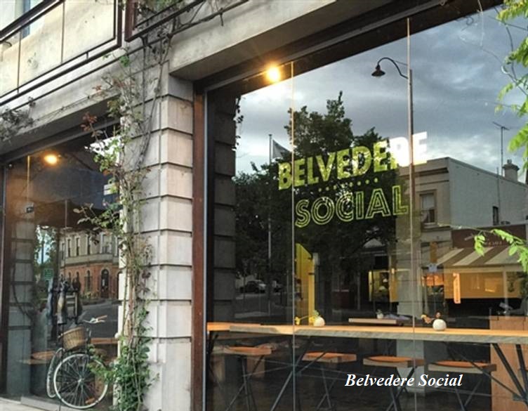 Belvedere Social