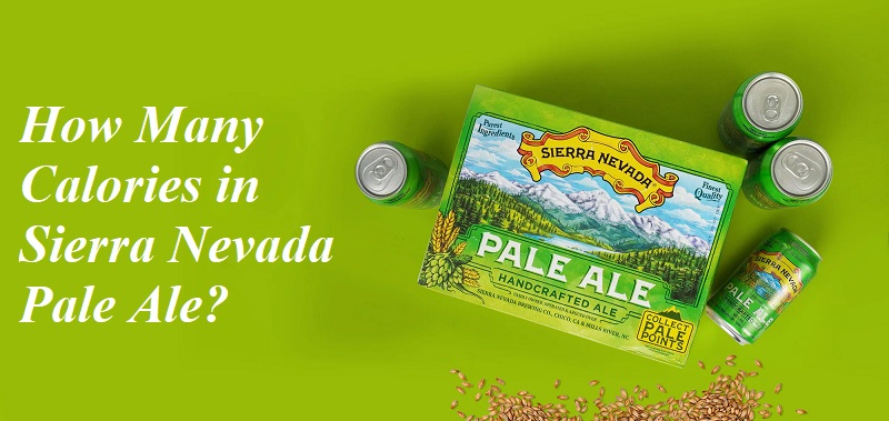 How Many Calories in Sierra Nevada Pale Ale?