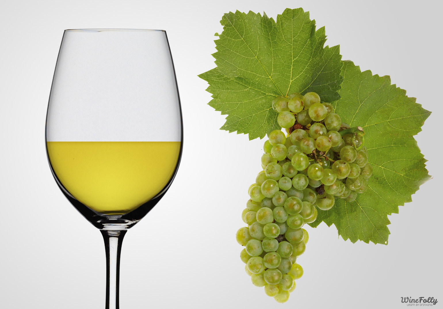 What Does Chardonnay Taste Like?